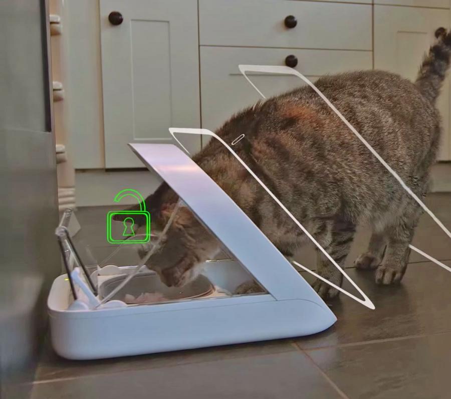 This Pet Feeder Scans Your Pet To Make Sure The Right Pet Eats The Right Food
