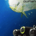 GoFish Cam: Fishing Camera That Attaches To End Of Fishing Line