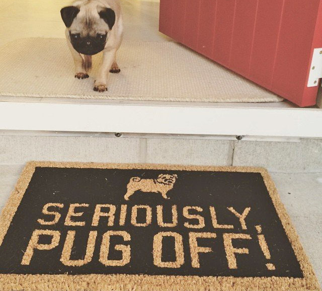 Pug Off Doormat