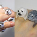 These Cute Animal Rings Hug Your Fingers