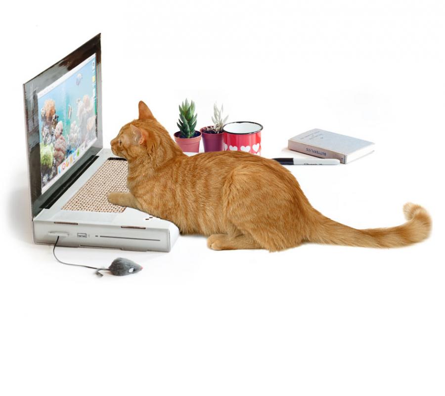 The Cat Scratch Laptop Is A Toy Laptop For Cats