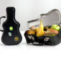 A Mini Guitar Case Lunchbox For Music Loving Kids (or Adults)