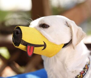 Smiling Dog Muzzle With Tongue Sticking Out