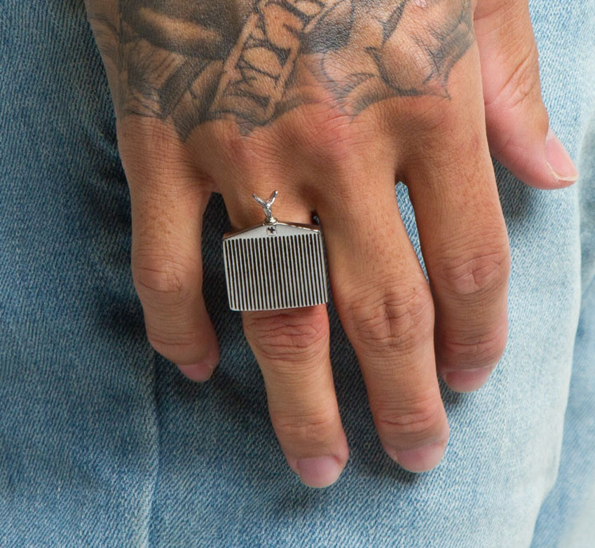 Hood Ornament and Car Grill Ring