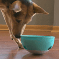 This Rocking Dog Bowl Food Puzzle Helps Slow Down Your Dogs Fast Eating
