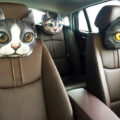 Cat and Dog Headrest Pillows For Your Car