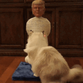 You Can Now Get a Donald Trump Cat Scratching Post
