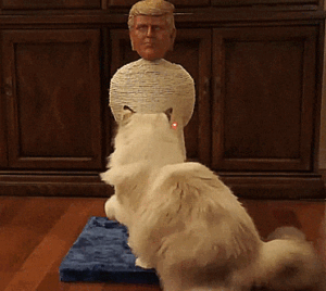 You Can Now Get a Donald Trump Cat Scratching Post