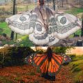 Moth and Butterfly Cape Cloaks