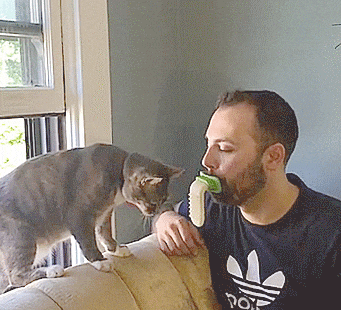 LICKI Brush: Cat Brush You Hold With Your Mouth, Lets You Lick Your Cat
