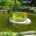 This Floating Fish Aquarium Lets You View Your Fish Above The Water Line