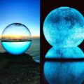 Glowing Bioluminescent Marine Plankton Aquarium