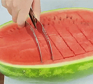 Watermelon Corer And Server