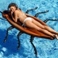 Giant Cockroach Pool Float