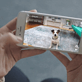 PetCube Bites: A Pet Camera That Launches Dog Treats From Your Phone