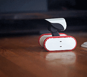 Riley Robot: Security Camera Robot You Pilot Around Your Home From Your Phone