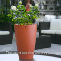Parrot Smart Plant Watering Pot - Automatic Plant Waterer - Control It From Your Phone