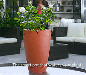 Parrot Smart Plant Watering Pot - Automatic Plant Waterer - Control It From Your Phone