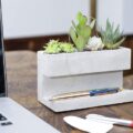 Concrete Desk Planter and Pen Holder