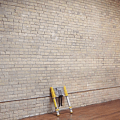 Xtend and Climb: A Telescoping Extendable Ladder