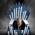 Game Of Thrones Iron Throne Cat Bed
