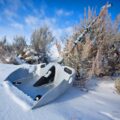 Alpha Shovel: Extremely Rugged Multi-Tool Shovel With Saw Embedded In Handle