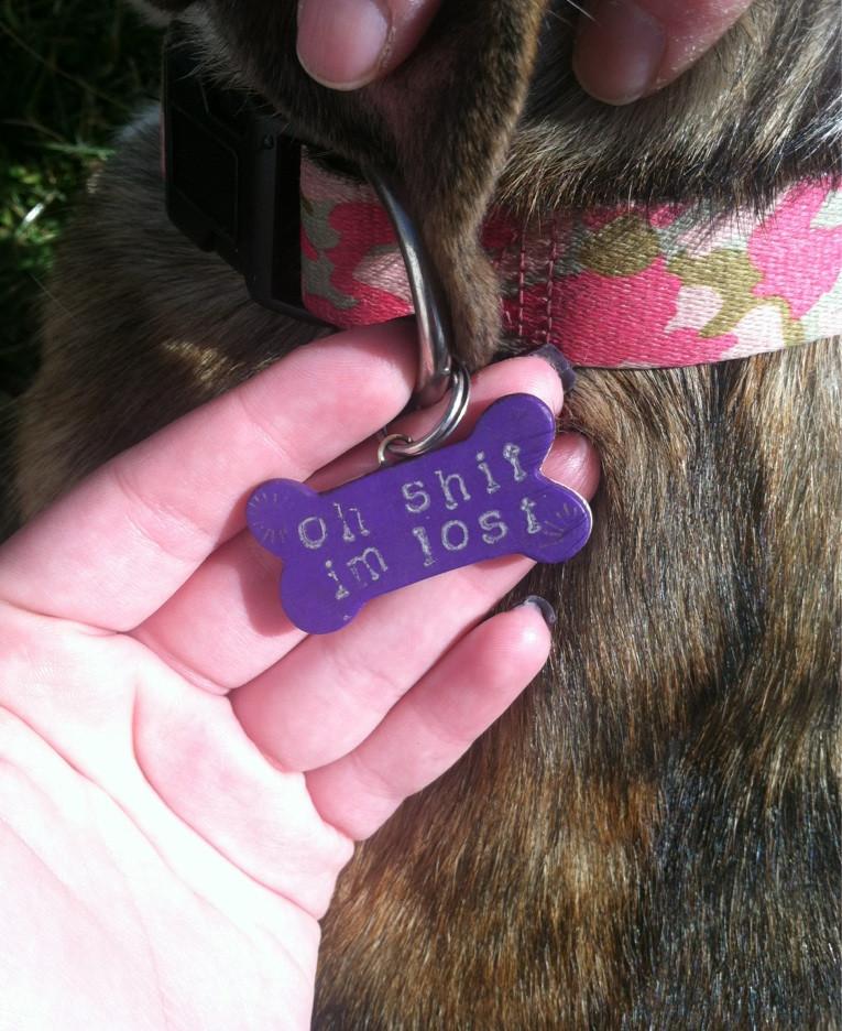 Oh Shit I'm Lost Dog Tag