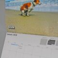 Pooping Pooches Calendar 2018
