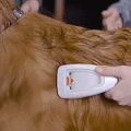 Bark Bath: A Portable Dog Bath That Works Like a Vacuum