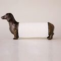 This Paper Towel Dispenser Is Shaped Just Like a Wiener Dog
