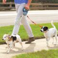 Dual Doggie Pet Leash: Double Retractable Dog Leash For Walking 2 Dogs at a Time