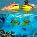 This Board Gives You a Window To The Underwater Environment Without Having To Use a Snorkel