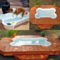 Bone Shaped Dog Pool