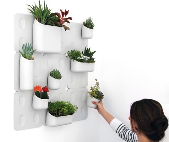 Urban Wall Planters
