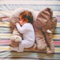 Plush Elephant For Your Baby To Snuggle