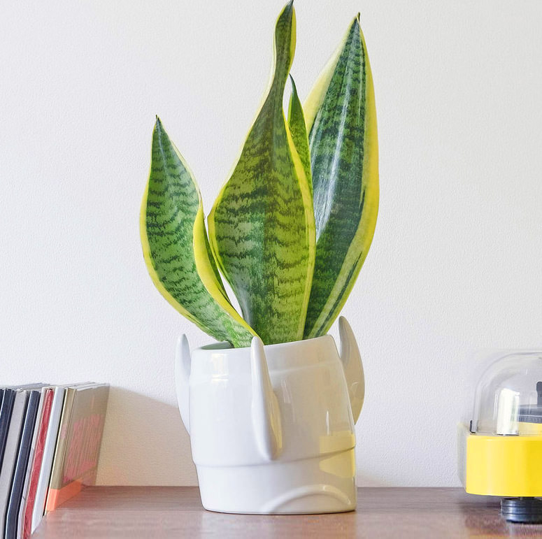 Rocket Ship Planter Makes It Look Like Rocket Blasting Off