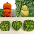 These Fruit Molds Let You Grow Fun Shaped Watermelons and Pumpkins