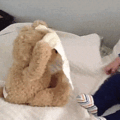 Peek-a-Boo Teddy Bear