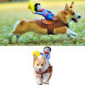 This Rodeo Cowboy Dog Costume Turns Your Dog Into a Bucking Bronco