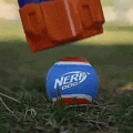 NERF Dog Ball Launcher