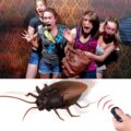 Remote Control Cockroach