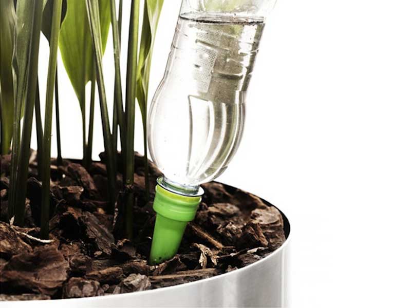 Plants Self Watering Cone