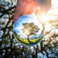 Spherical Crystal Ball Lens Gets You Amazing Photographs