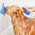 Slow Treater: Wall Mounted Treat Lick To Distract Dogs While Bathing