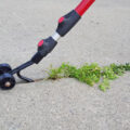Weed Snatcher Rolling Tool Easily Removes Weeds From Cracks
