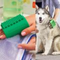 Finger-Slotted Silicone Tool for Pets, Laundry, Kitchen, and Beauty