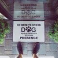 No Need To Knock, The Dogs Have Alerted Us To Your Presence Doormat