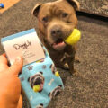 This Company Makes Socks With Your Pets Face On Them