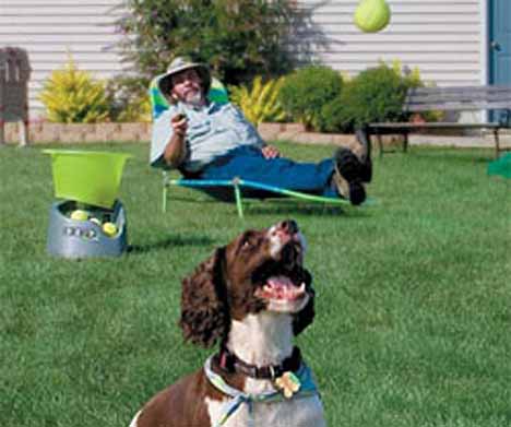 Dog Ball Fetching Machine
