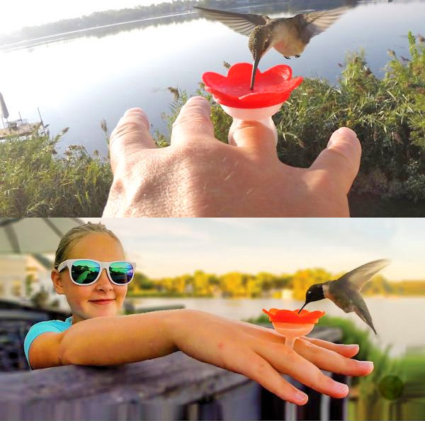 Hummingbird Feeder Rings